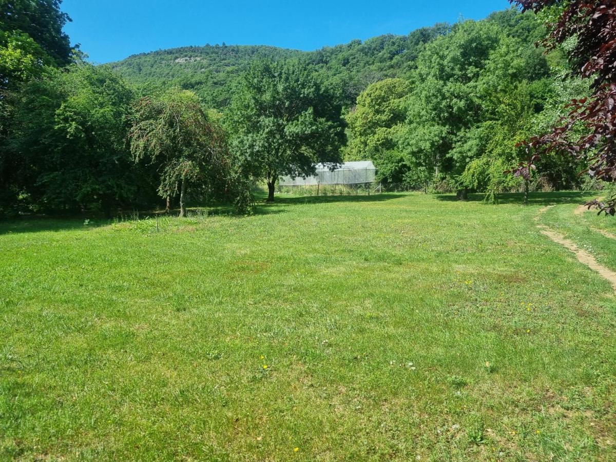 Grand Mas Provencal Avec Jacuzzi Sisteron